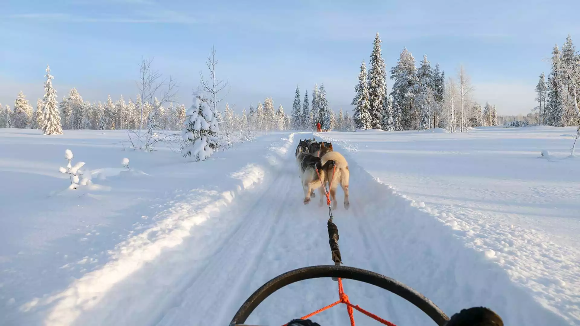 Huskysafari