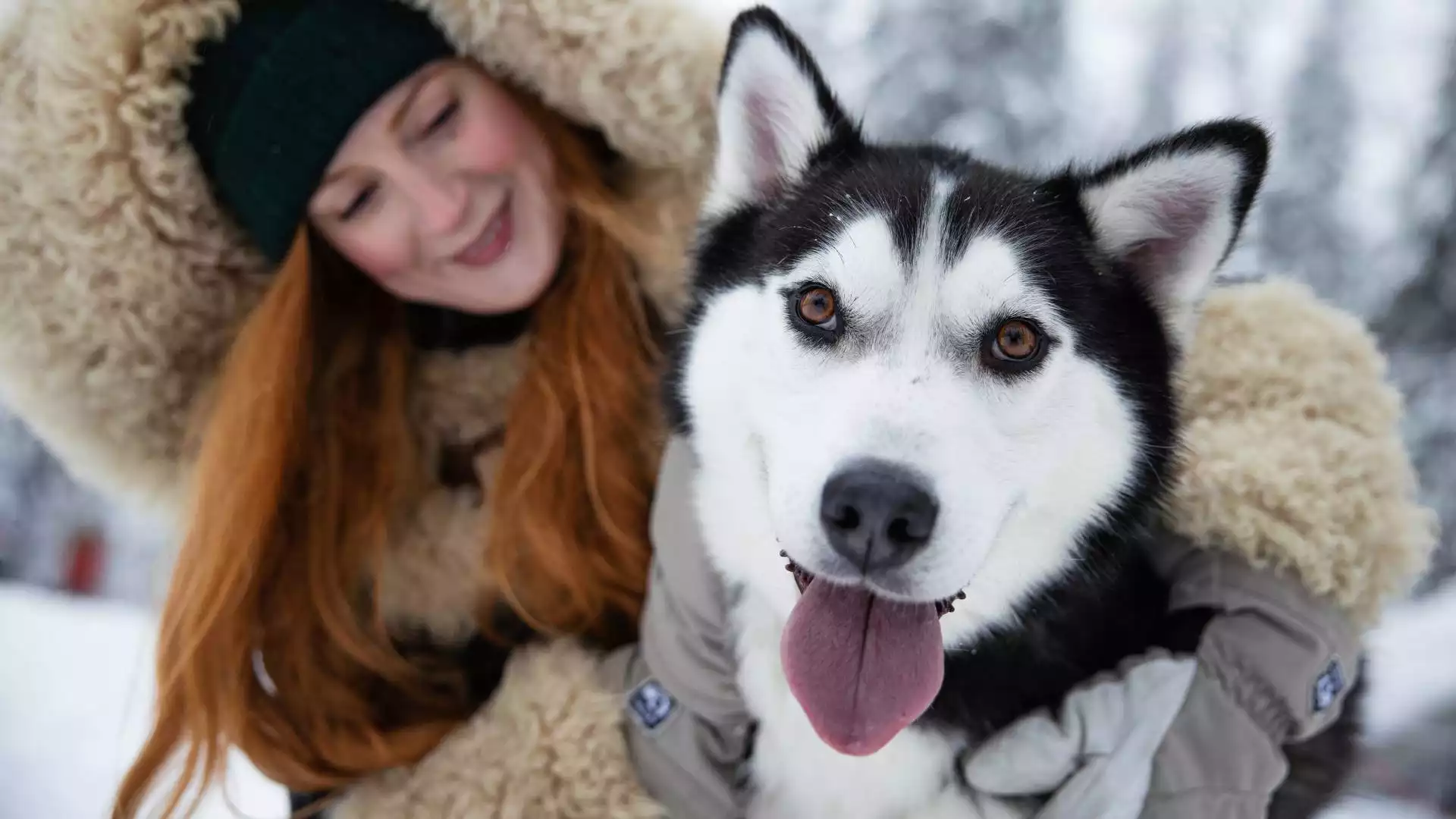 Op pad met husky's en een traditioneel Fins diner