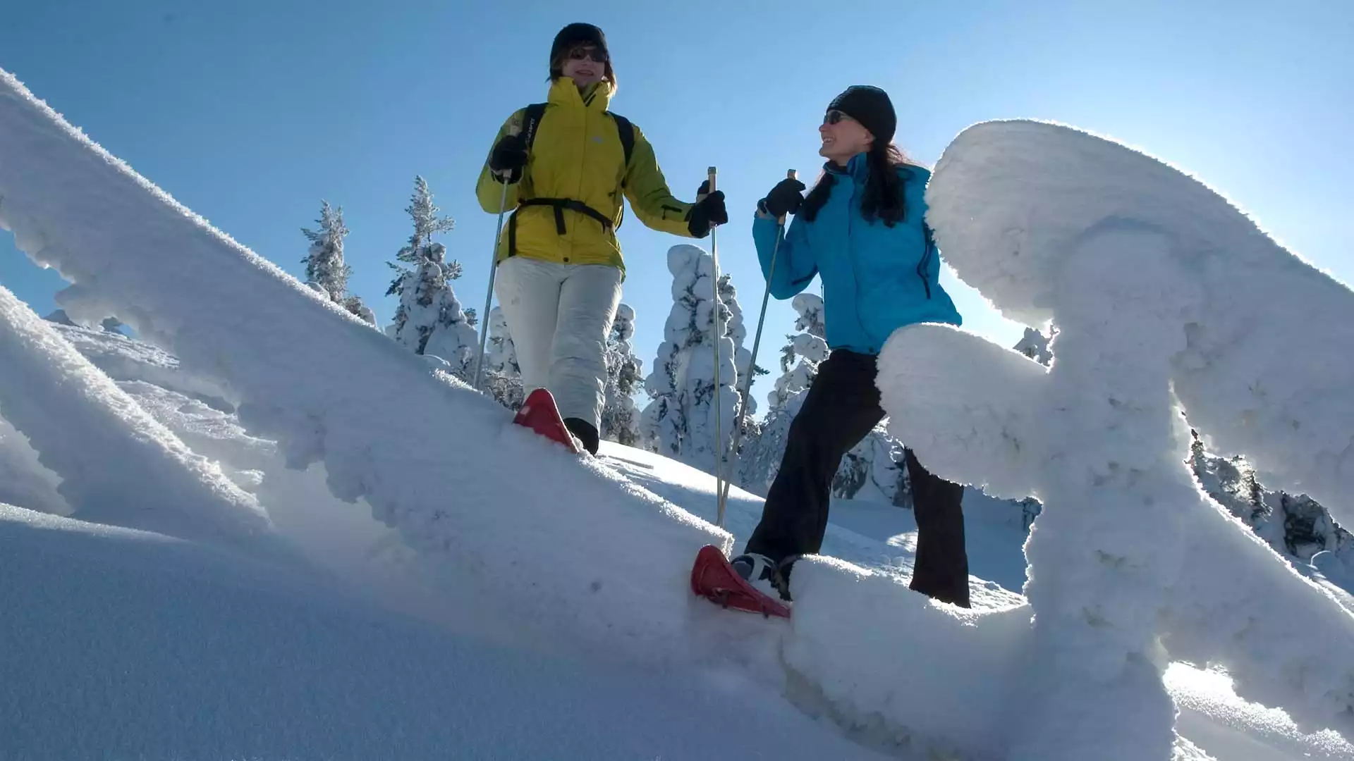 Sneeuwschoenwandeling in Pyhä-Luosto NP