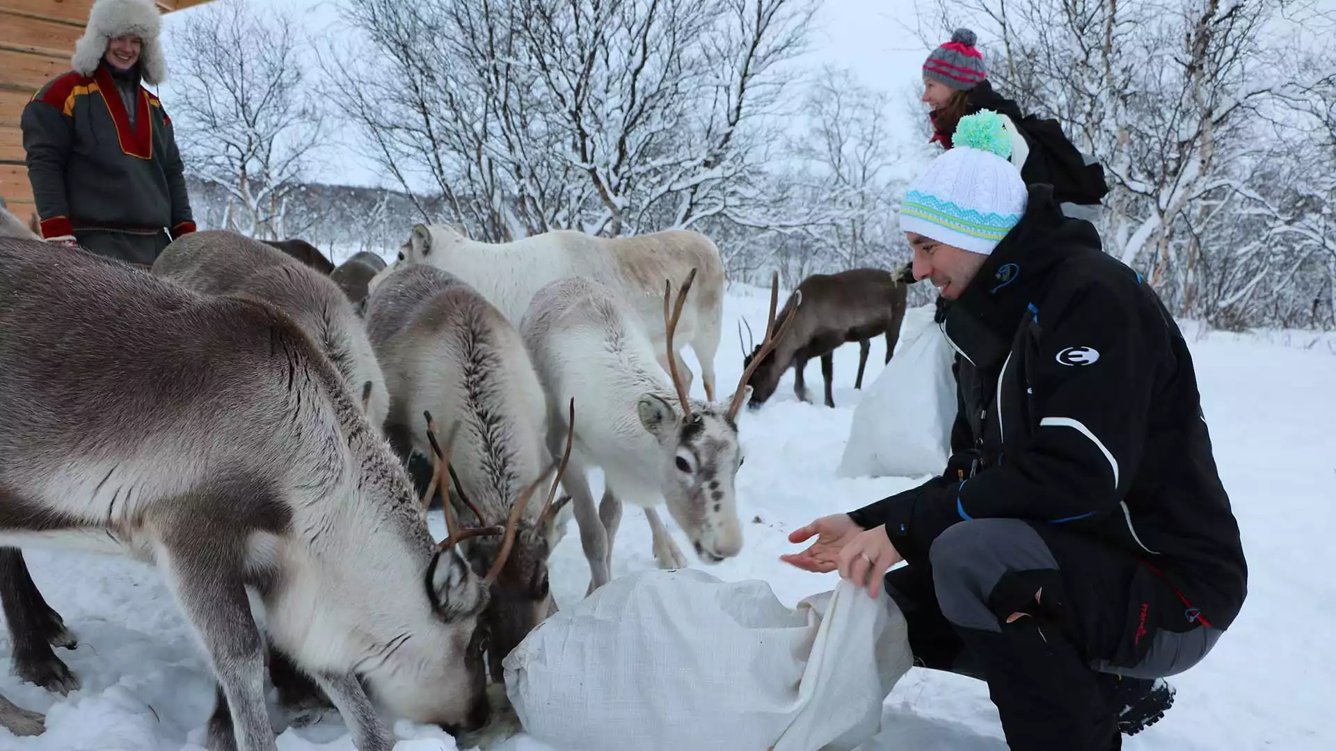 Sneeuwscootersafari en naar de rendierboerderij