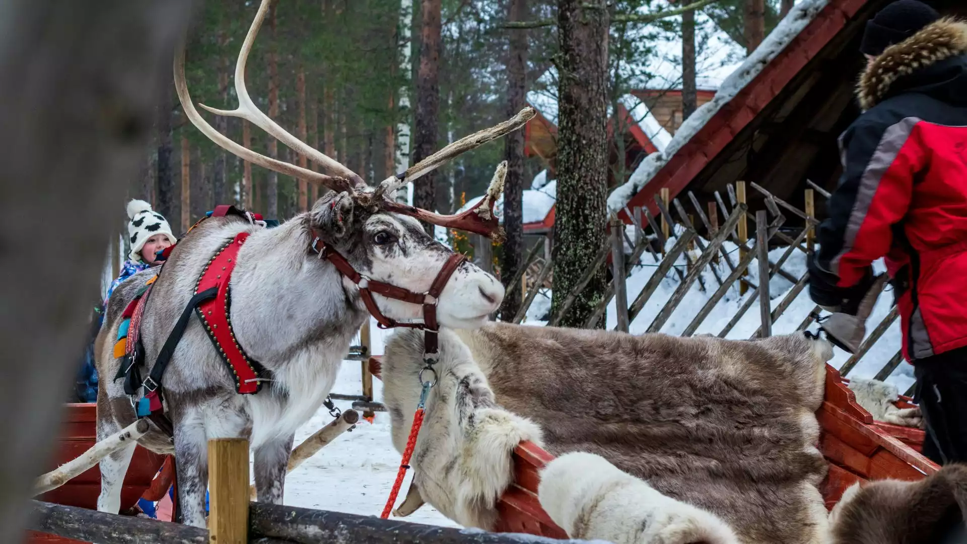 Welkom in Fins én Zweeds Lapland!