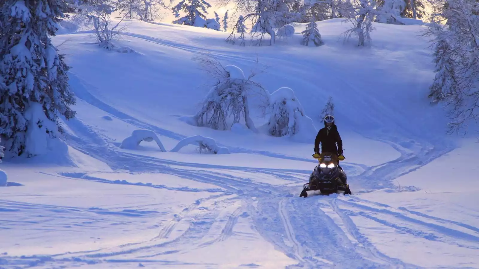 Sneeuwscootersafari door de besneeuwde bossen