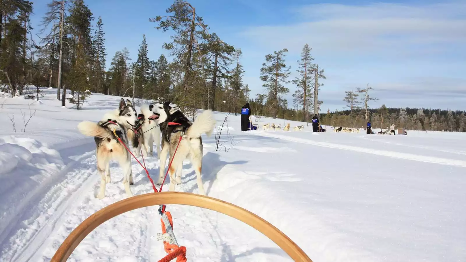 Prachtige lange huskytocht