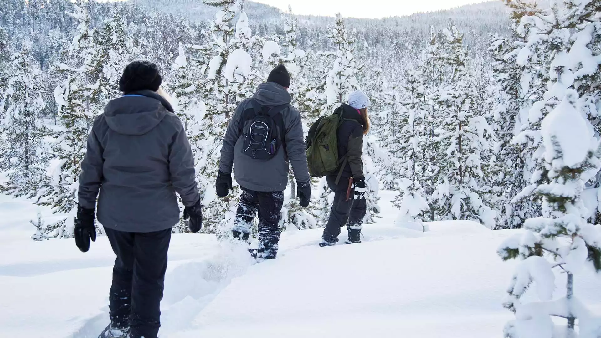 Sneeuwschoenwandeling door de bossen