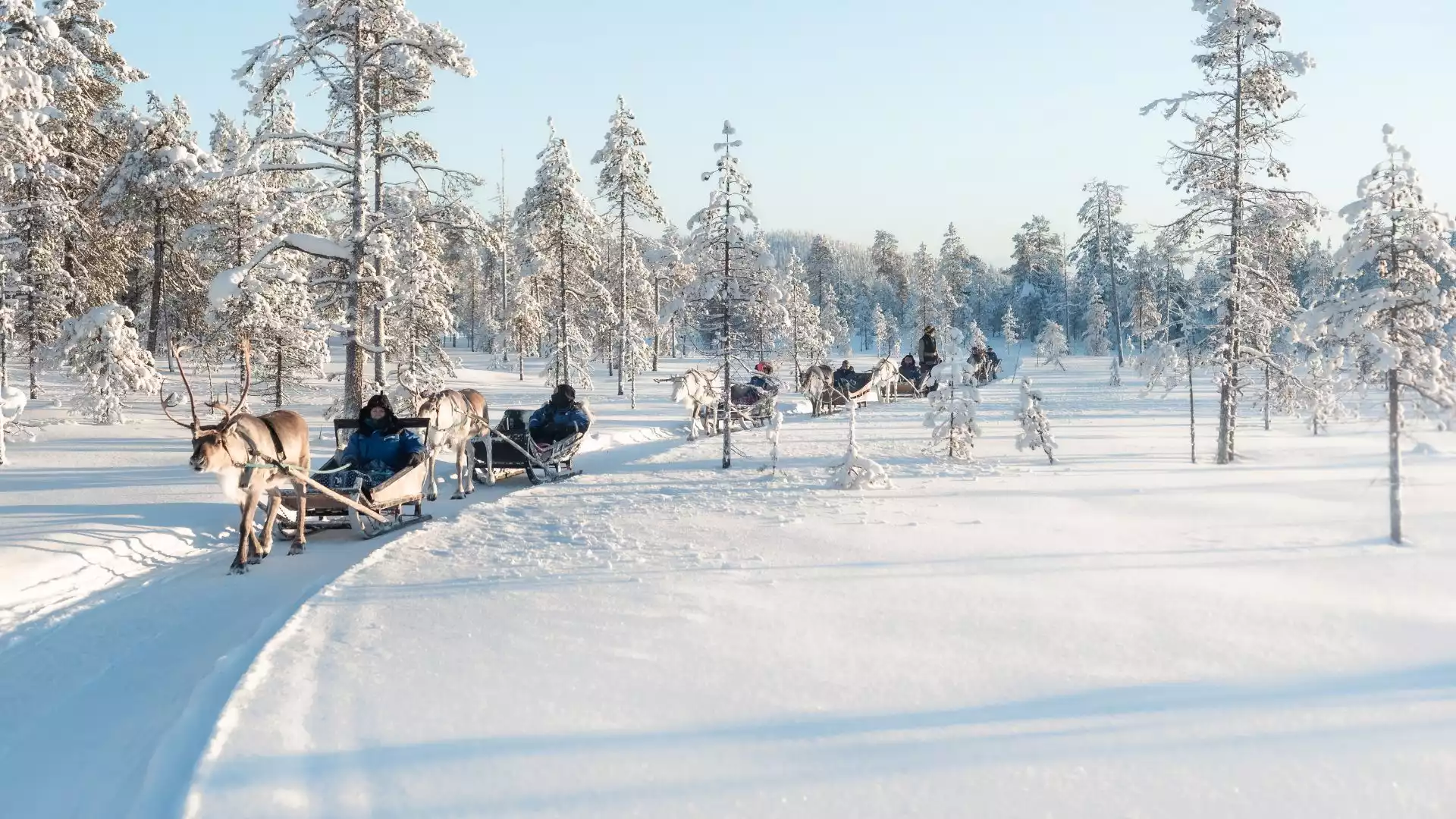 Welkom in Fins Lapland!