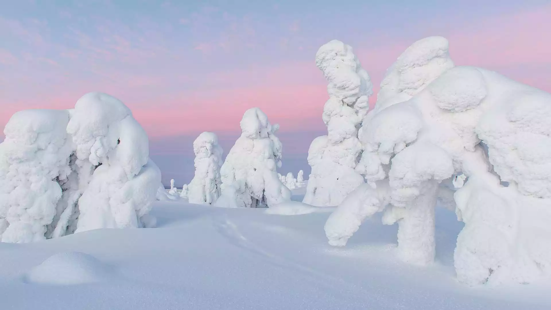 Afscheid nemen van Lapland