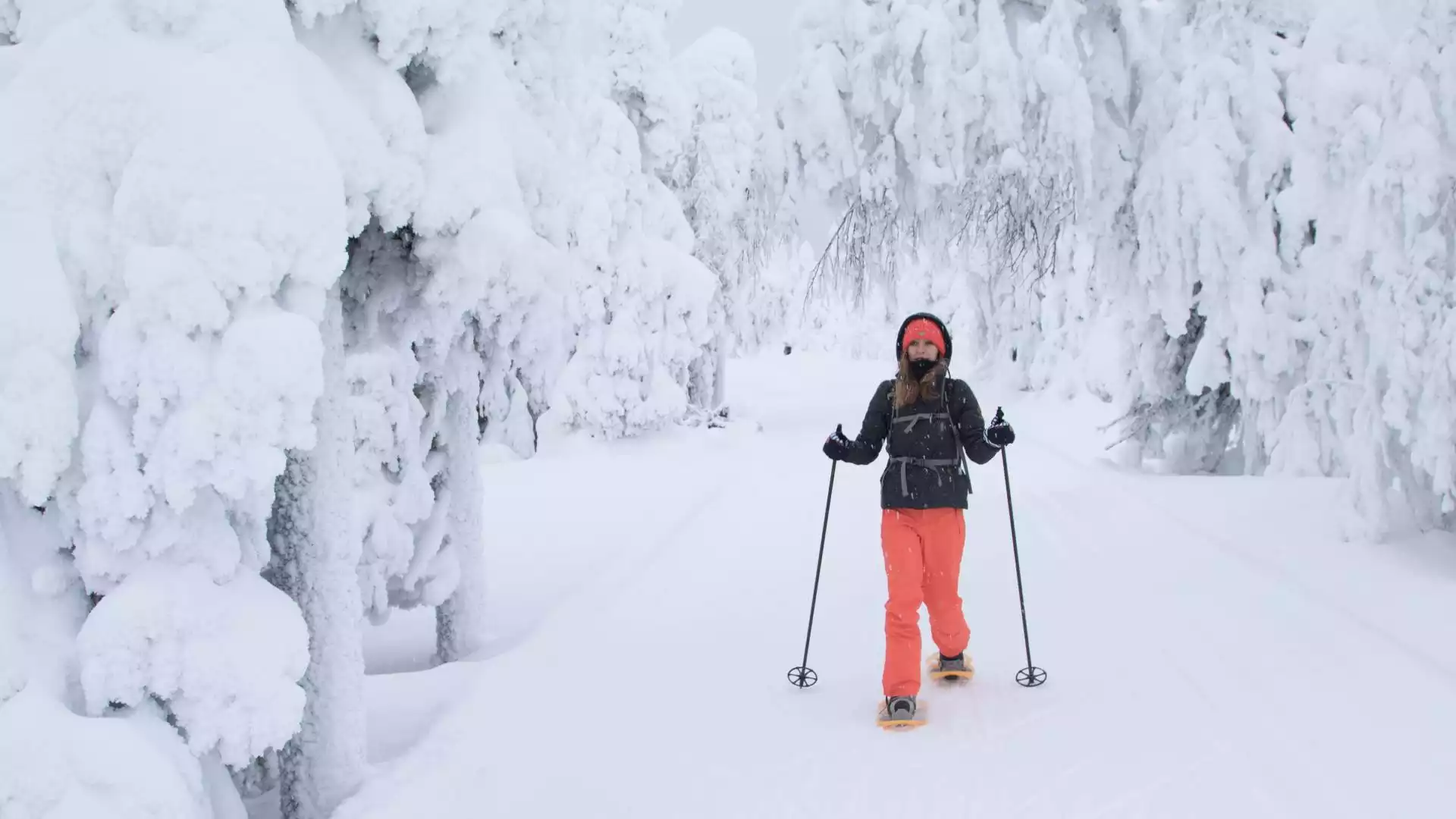 Sneeuwschoenwandeling