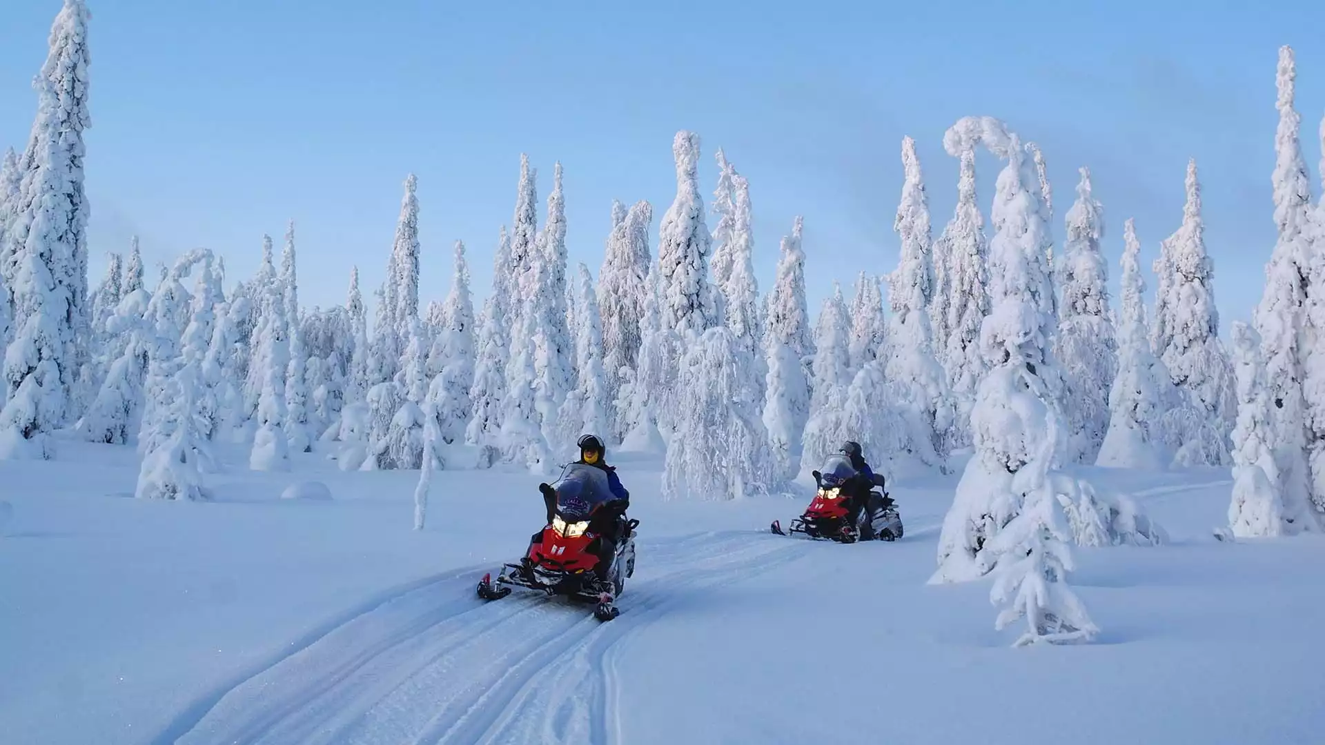 Sneeuwscooters en noorderlichtjagen met rendieren