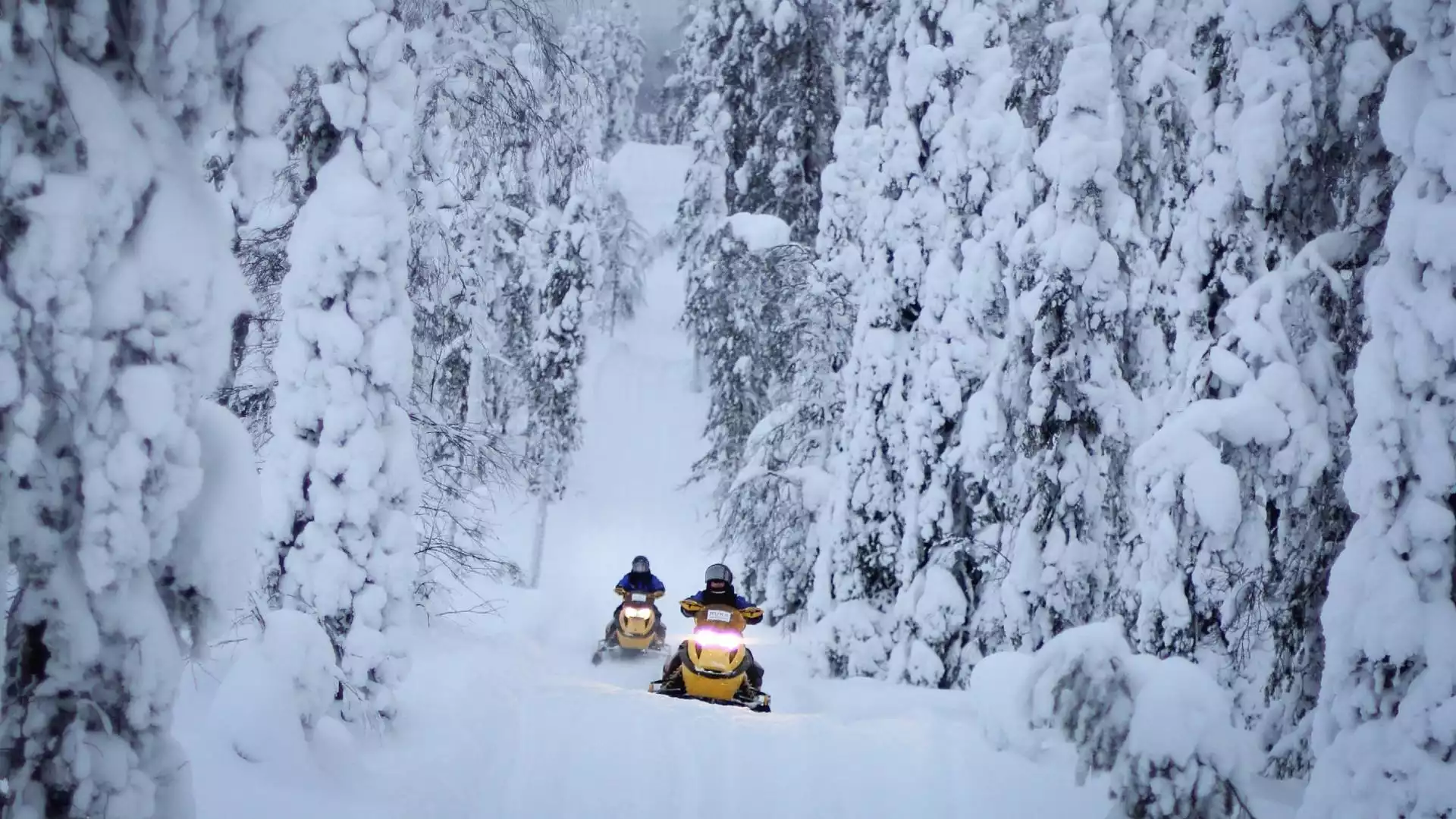 Sneeuwscootersafari met wildernislunch