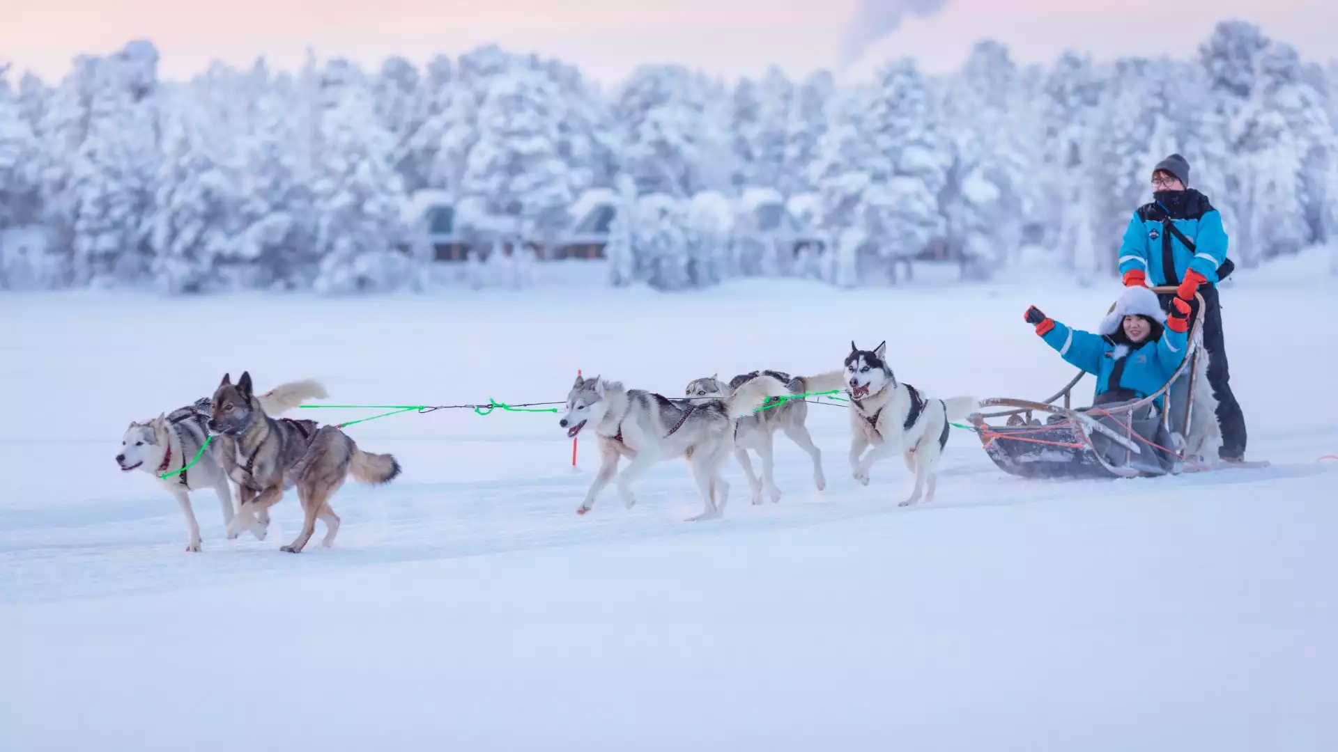 Ontmoet de enthousiaste husky’s 