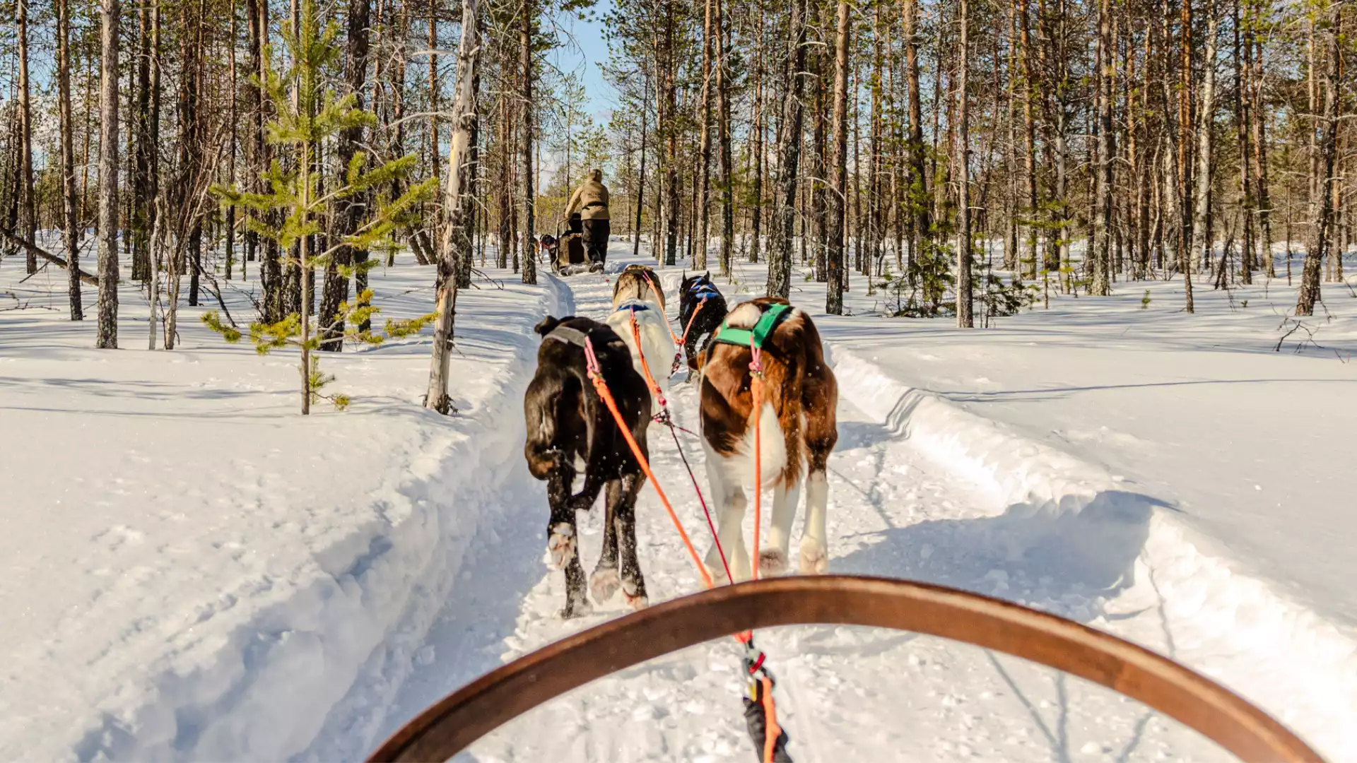 Op naar betoverend Lapland!