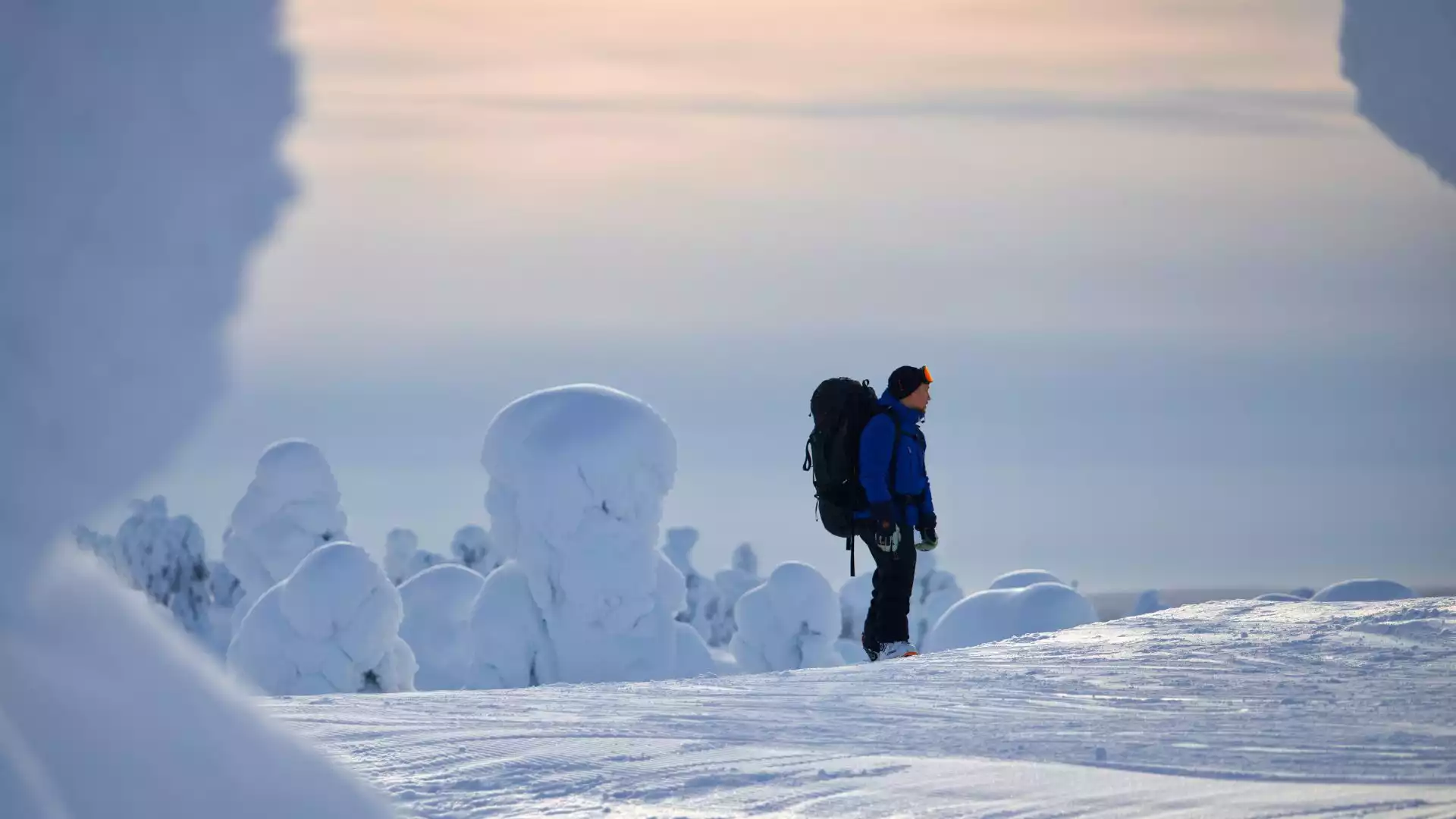 Op sneeuwschoenen door de wildernis