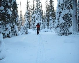 saariselka-langlaufen-altai-skis