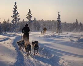 levi-huskytocht-10km