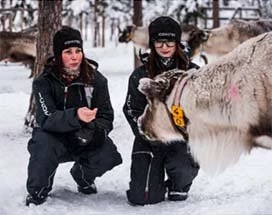 jukkasjarvi-sami-rendieren